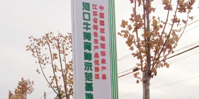 精神堡垒制作厂家：<i style='color:red'>城市标识标牌制作</i>设计的几种创意?