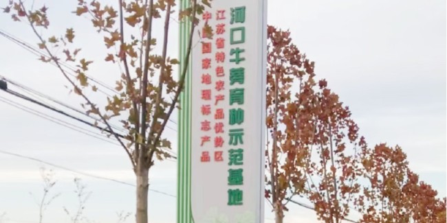 标识生产厂家：通向美丽中国的绿色标识标牌