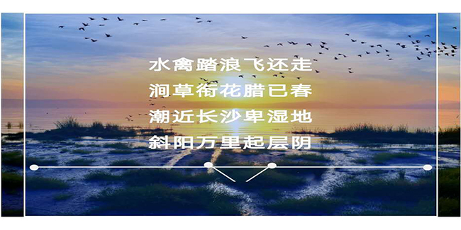 泗洪特色街区形象提升案例（上）