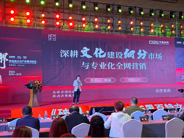 千帆标识张涵现场演讲《深耕文化建设细分市场与专业化全网营销》