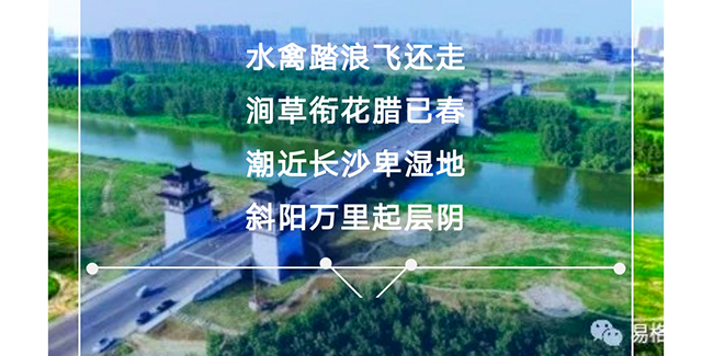泗洪特色街区形象提升案例（下）