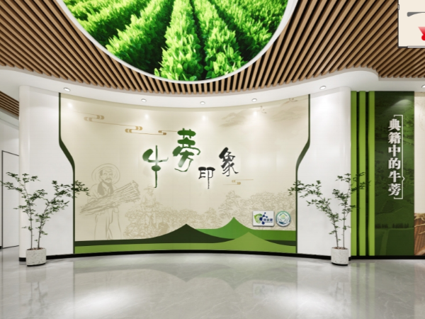 沛县河口牛蒡印象产业展馆设计方案