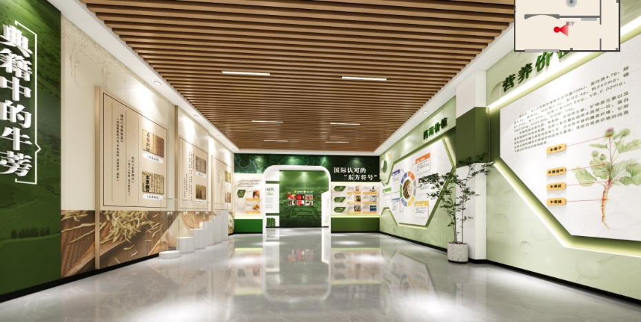 沛县河口牛蒡印象产业展馆设计方案